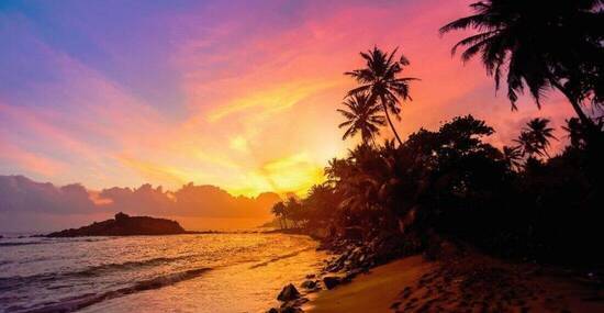 © Goinyk Volodymyr - Fotolia