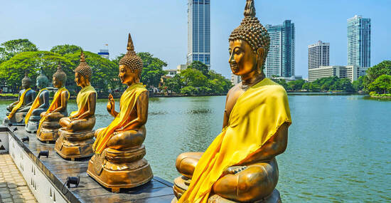 ©efesenko - stock.adobe.com