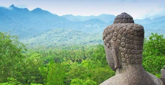 © MicroJapan - Fotolia