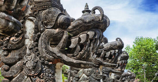 © Tropical studio - stock.adobe.com