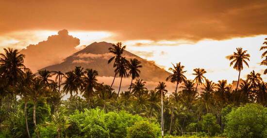 © mataboolan - stock.adobe.com