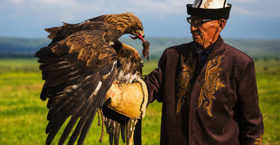 ©SB - stock.adobe.com