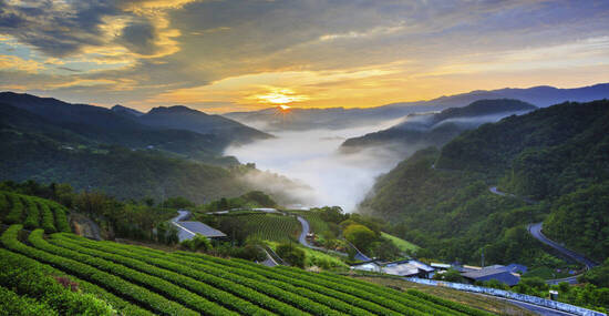 © TPG - stock.adobe.com