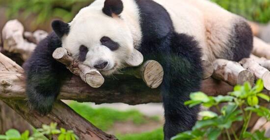 © eyetronic - stock.adobe.com