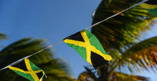 © WD Stock Photos - stock.adobe.com