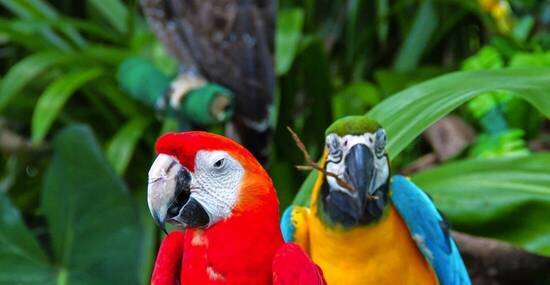 © shooting88 - Fotolia