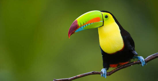 ©buteo - stock.adobe.com