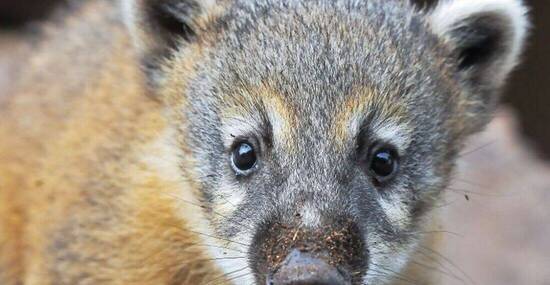 © Christian Maurer - Fotolia