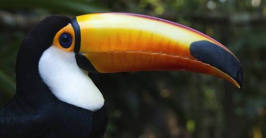 © G&M Therin-Weise/imageBROKER - stock.adobe.com