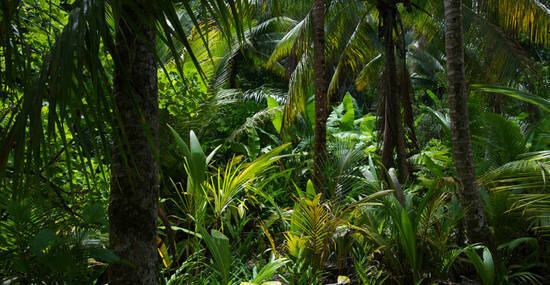 © lazyllama - stock.adobe.com