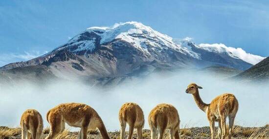 © Bernard 63 - Fotolia