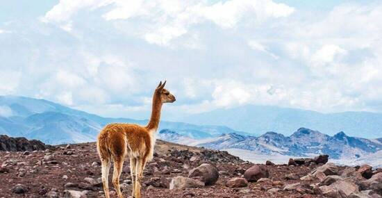 © Kseniya Ragozina - Fotolia