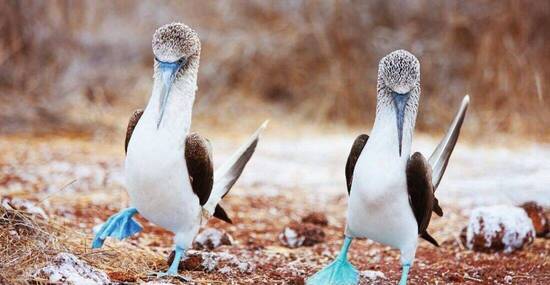 © BlueOrange Studio - Fotolia