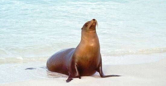 © pb_pictures - Fotolia