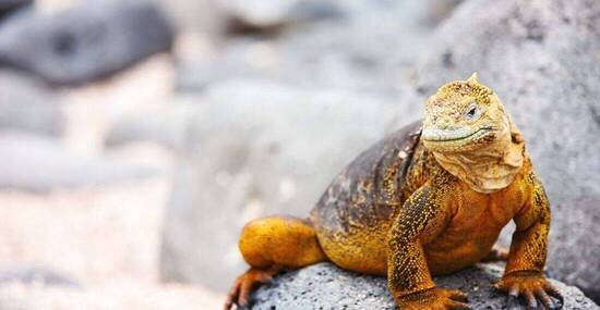 © BlueOrange Studio - Fotolia