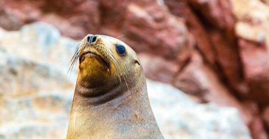 © vitmark - Fotolia