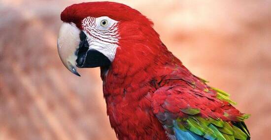 © Christian Musat - Fotolia