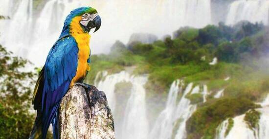 © filipefrazao - Fotolia