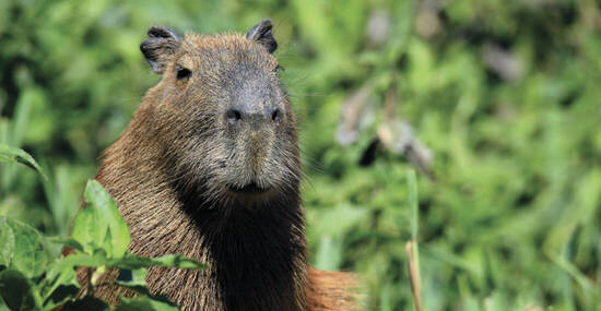 © This content is subject to copyright.