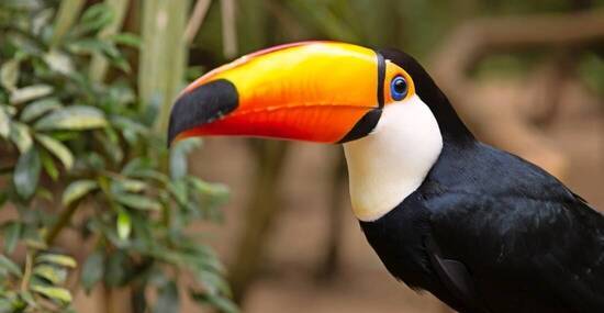 © filipefrazao - Fotolia