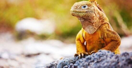 © BlueOrange Studio - Fotolia