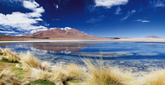 © kikkerdirk - Fotolia