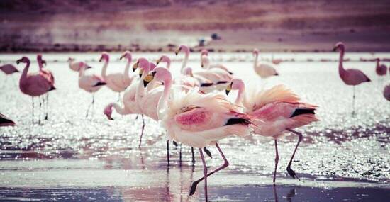 © Mariusz Prusaczyk - Fotolia