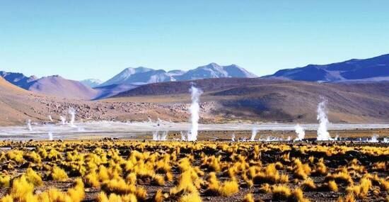 © siempreverde22 - Fotolia