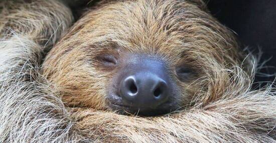 © Henner Damke - Fotolia