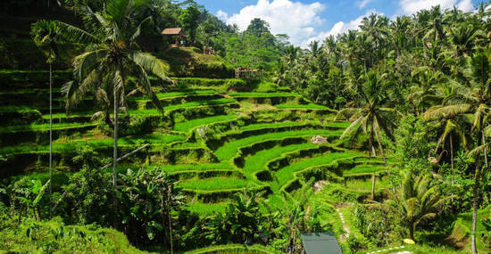 © Akarat Phasura - stock.adobe.com