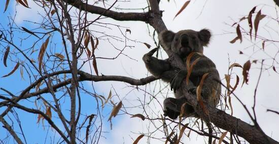 © peter_qn - stock.adobe.com