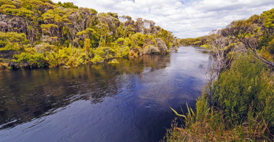 © wildnerdpix - Fotolia