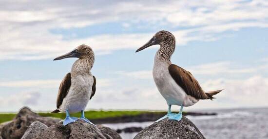 © ecuadorquerido - Fotolia