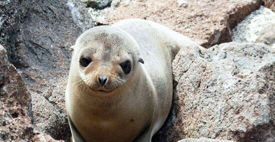 © daskleineatelier - Fotolia