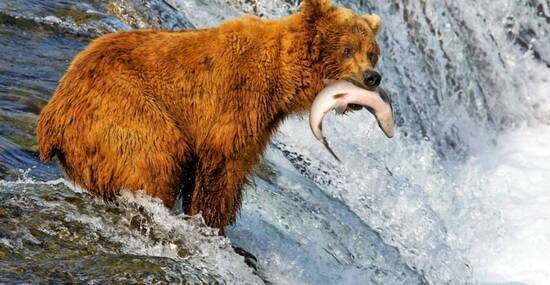 © Alexey - stock.adobe.com