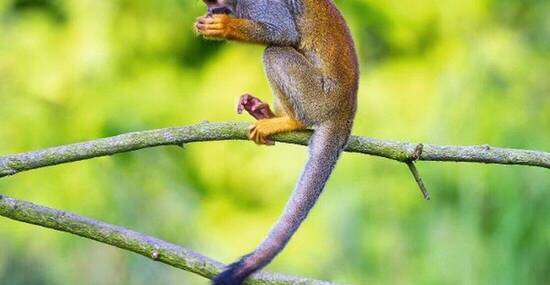 © miroslav_1 - Fotolia