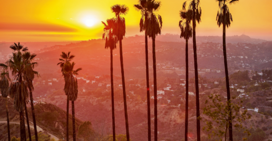 © SeanPavonePhoto - Fotolia