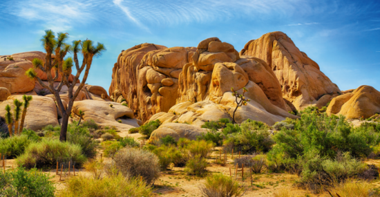 © garytog - Fotolia