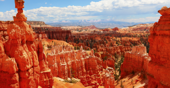 © Maridav - Fotolia