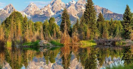 © hanphosiri - Fotolia