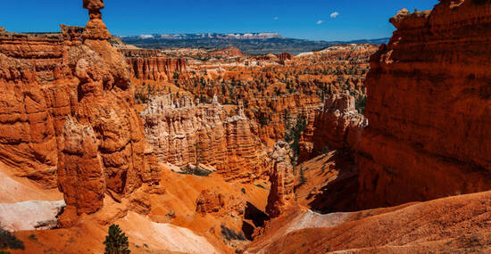 ©LoweStock - stock.adobe.com