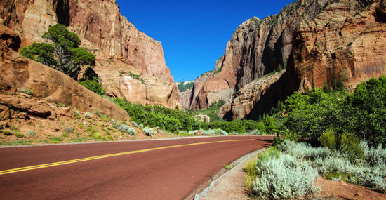 ©Martha Marks - stock.adobe.com