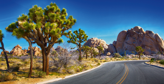 © garytog - Fotolia