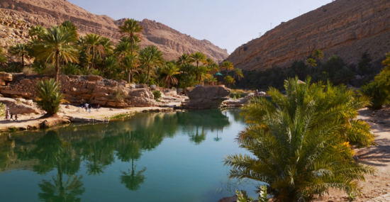 © Pavel Svoboda - Fotolia