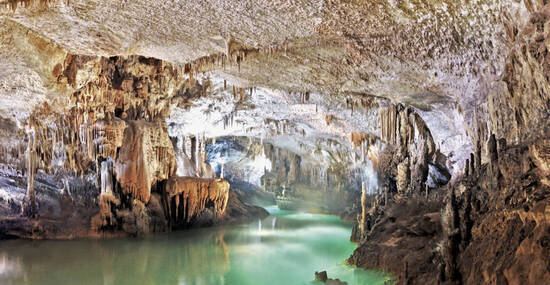 ©Rida International Libanon