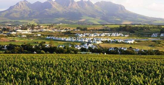 © ClaraNila - stock.adobe.com