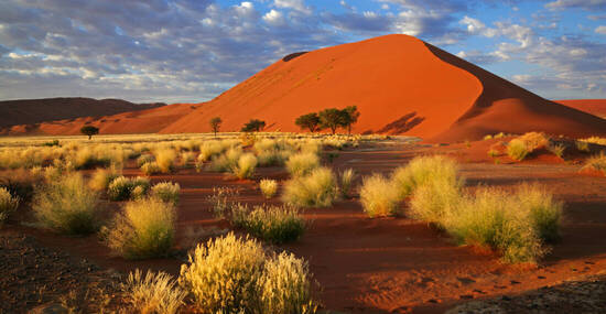 © EcoView - stock.adobe.com