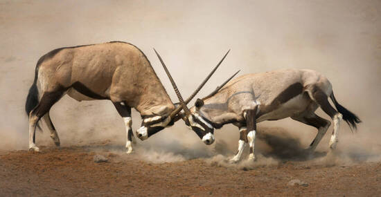 © Getty Images/iStockphoto