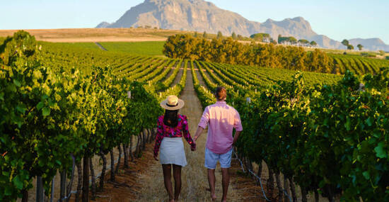 © Fokke Baarssen - stock.adobe.com