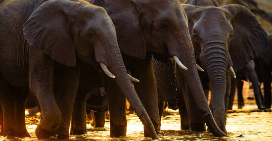 ©Radek - stock.adobe.com